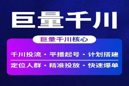 成功SEM服务案例分析报告